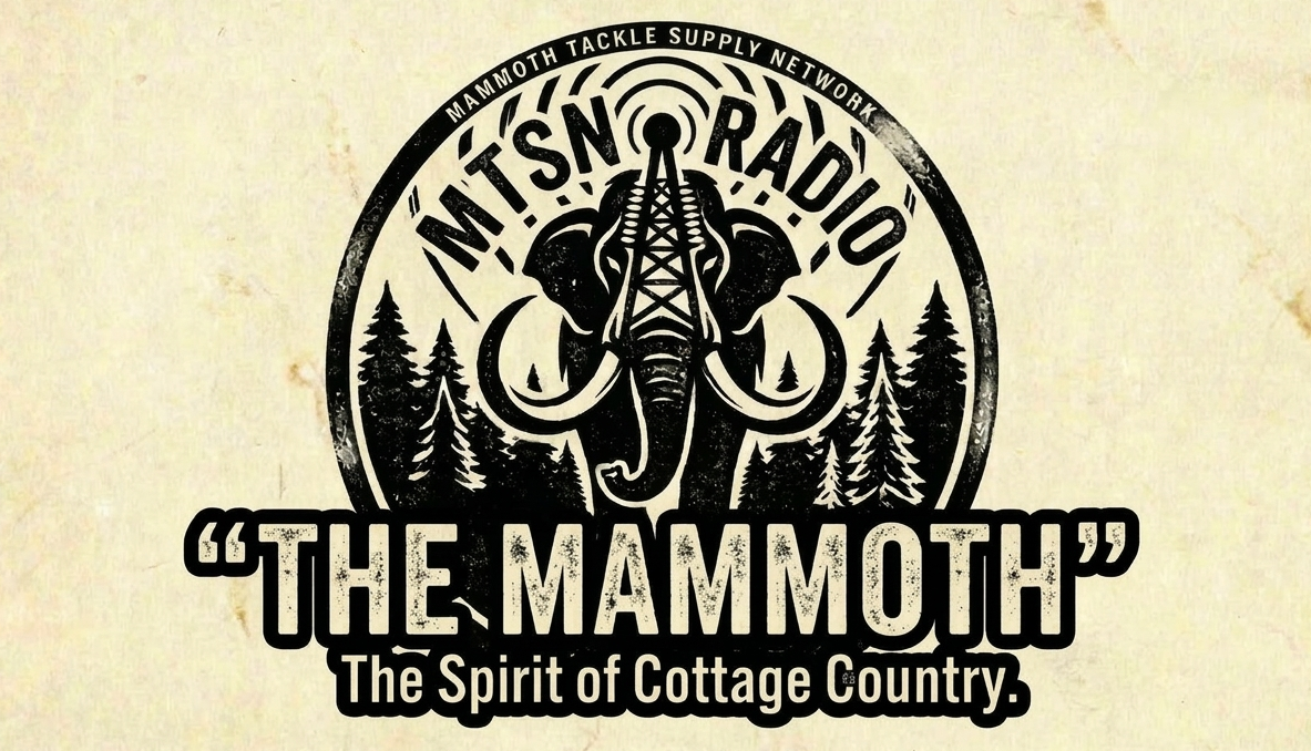 MTSN Mammoth Radio